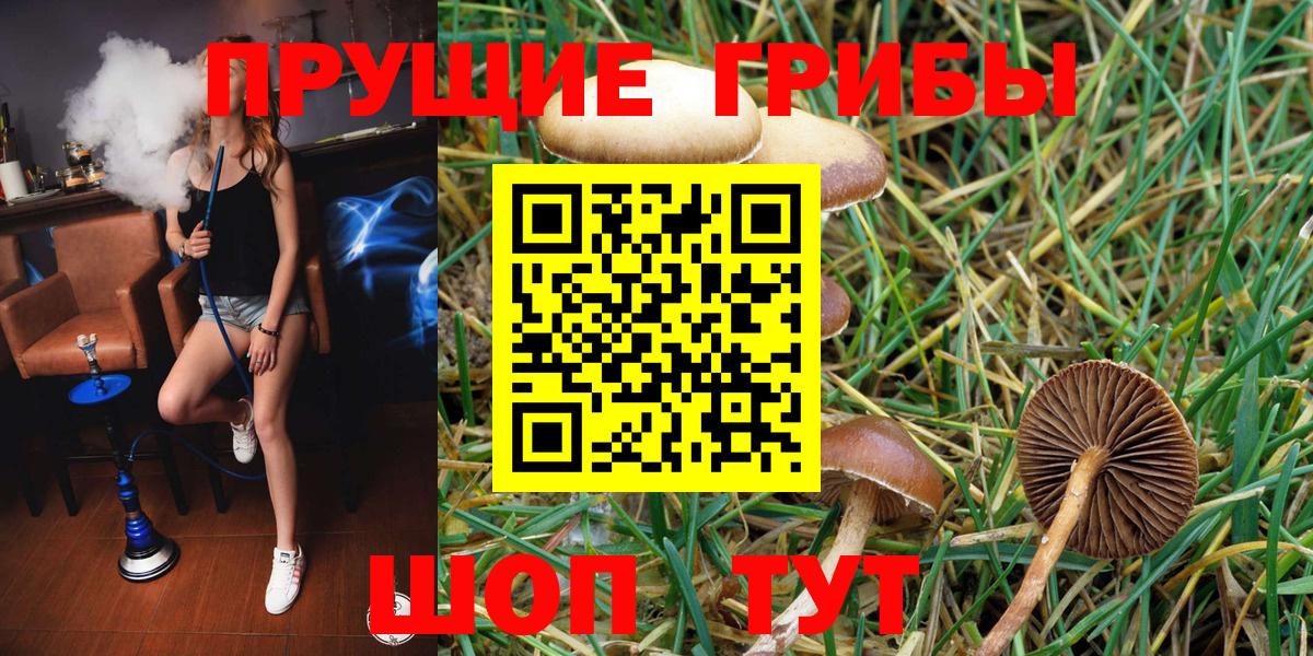 Кизляр  Псилоцибиновые грибы Magic Shrooms  Вход с VPN  Галлюциногенные грибы Psilocybe 